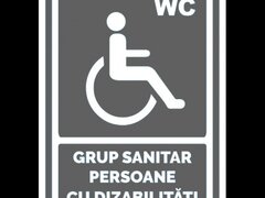 Indicator gri grup sanitar persoane cu dizabilitati